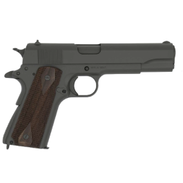 Tisas 1911 Government .45 ACP